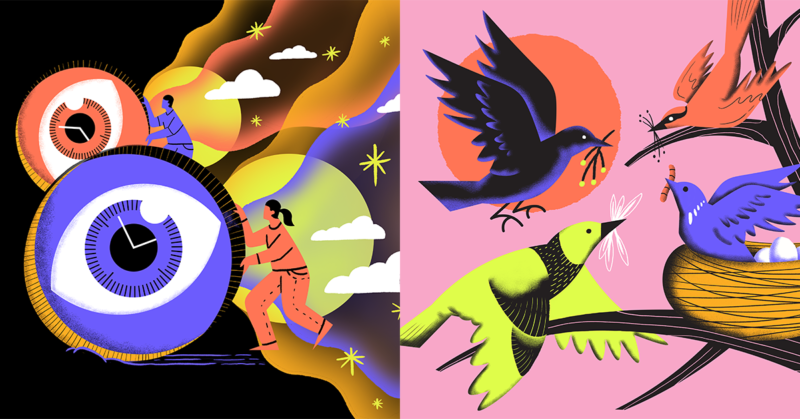 Header image from Filling the Well featuring eyes and birds
