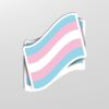 Trans Pride Sticker