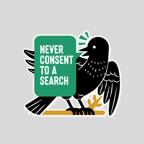 A Little Bird Told Me Green Sticker